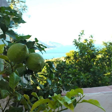 La Via Del Mare 4*